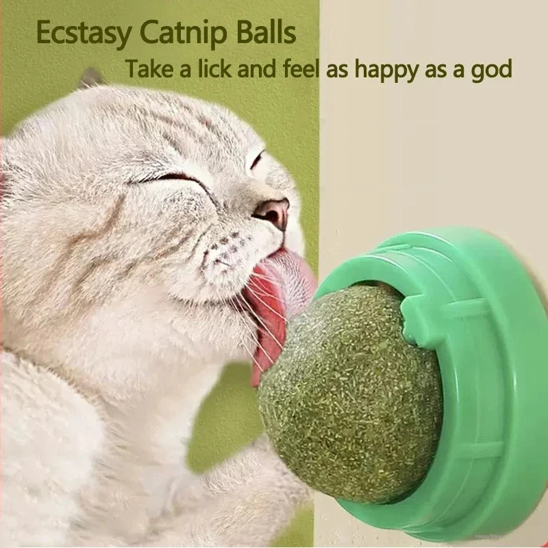 Natural Catnip