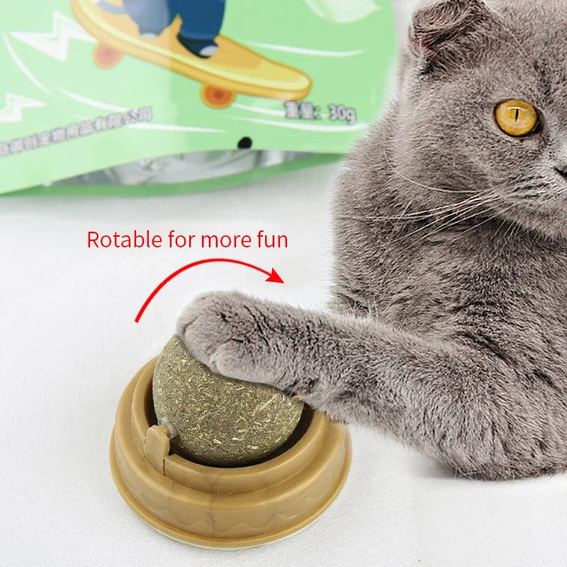 Natural Catnip