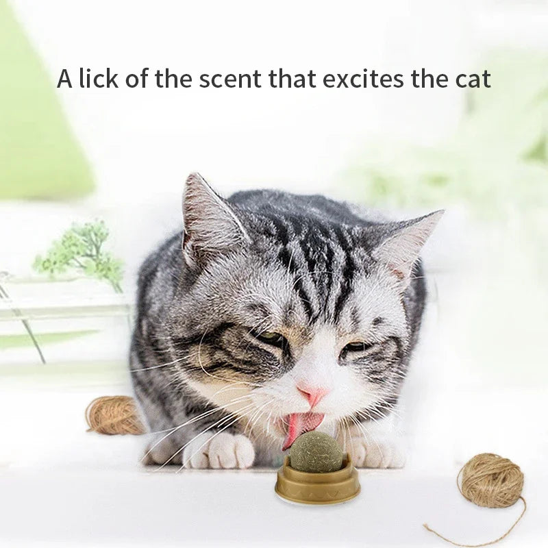 Natural Catnip